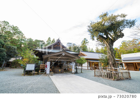 龍潭寺の井伊谷宮 73020780