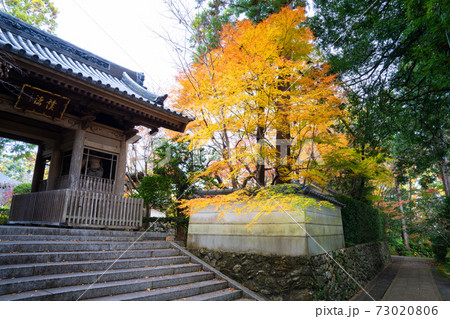 龍潭寺の紅葉 73020806