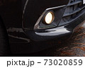自動車のフォグランプ 73020859