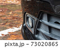 自動車のフォグランプ 73020865