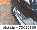 自動車のフォグランプ 73020866