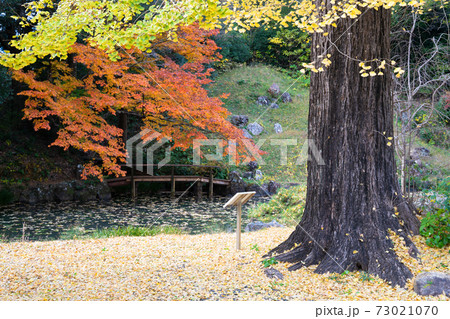 大福寺の紅葉 73021070