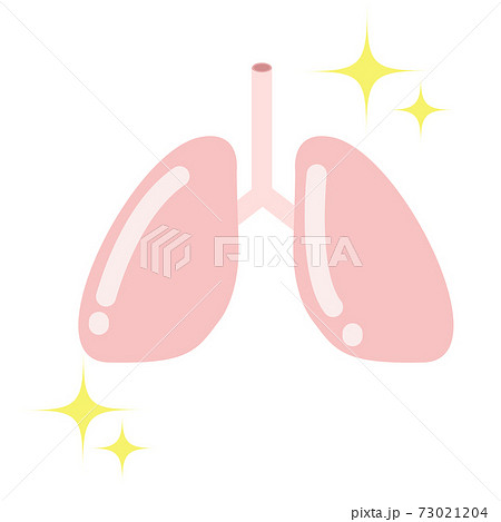 臓器・肺のイラスト 臓器・肺のイラスト 73021204
