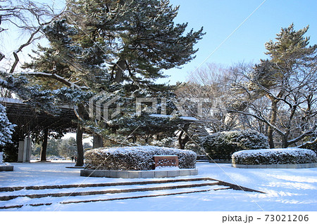 仙台市宮城野区　雪の榴岡公園 73021206