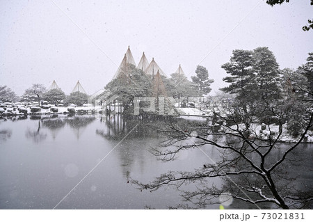 雪が舞う兼六園と雪吊り 雪が舞う兼六園と雪吊り 73021831