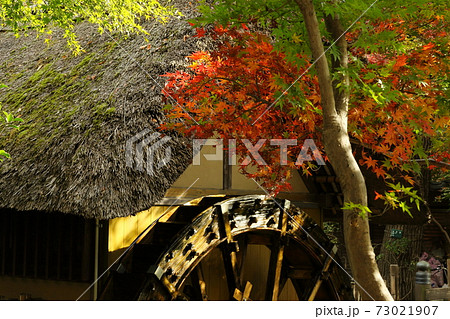 水車を彩る紅葉 73021907