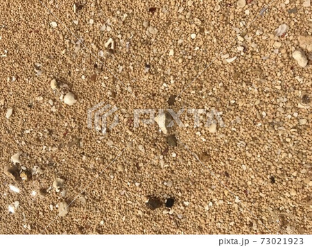 西表島で星の砂探し 73021923