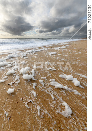 Windswept sea foam on a beach in the Atlantic Ocean 73022250
