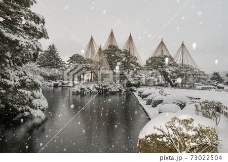 雪が舞う兼六園と雪吊り 雪が舞う兼六園と雪吊り 73022504