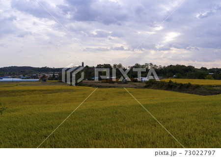 韓屋 風景 瓶 73022797