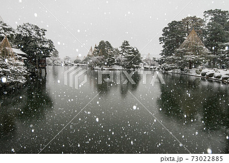 雪が舞う兼六園と雪吊り 雪が舞う兼六園と雪吊り 73022885