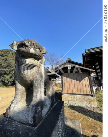 埼玉　秋葉神社の狛犬 73023160
