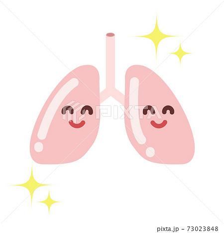 元気な肺のイラスト 73023848