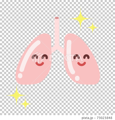 元気な肺のイラスト 73023848