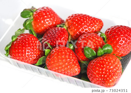 いちご（あまりん） 73024351