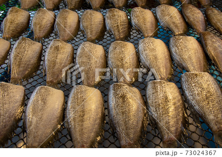 Dried Gourami Dried Gourami 73024367