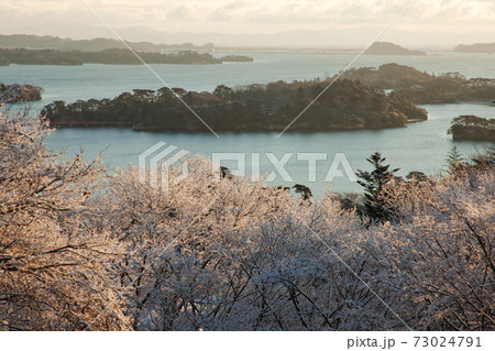 朝日が照らす冬の太平洋と雪景色の松島|宮城県 73024791