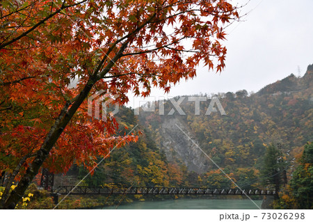 大井川鐵道沿線の旅　アプトいちしろ駅　市代吊橋 73026298