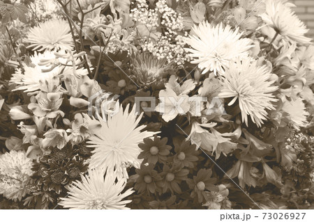 natural flowers background natural flowers background 73026927