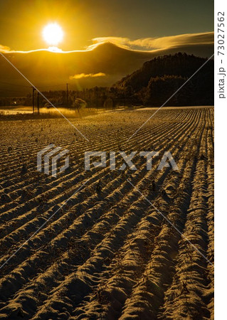 北海道美瑛町　積雪の畝　11月 73027562