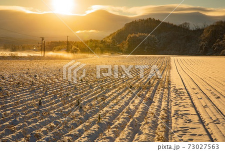 北海道美瑛町　積雪の畝　11月 73027563