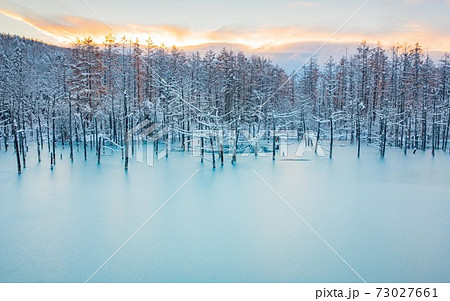 北海道美瑛町　雪と朝焼けの青い池　11月 73027661