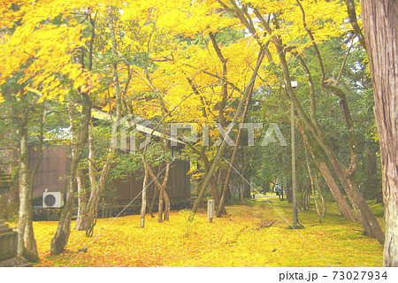 那谷寺の紅葉 73027934