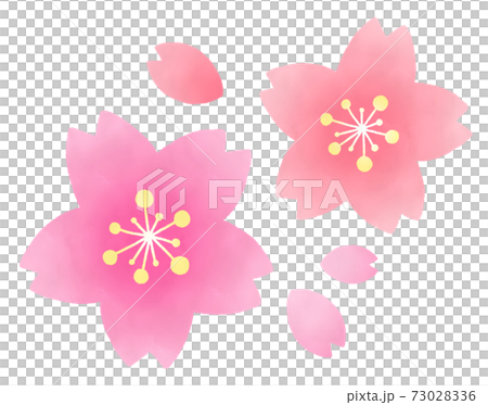 Watercolor simple cherry blossoms 73028336