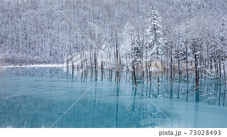 北海道美瑛町 冬の青い池 11月の写真素材