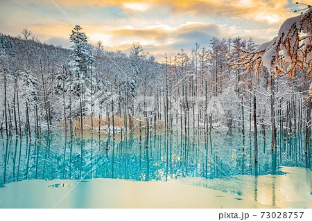 北海道美瑛町　雪と朝焼けの青い池　11月 73028757
