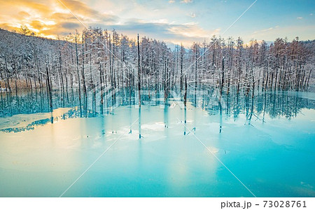 北海道美瑛町 雪と朝焼けの青い池 11月 北海道美瑛町 雪と朝焼けの青い池 11月 73028761