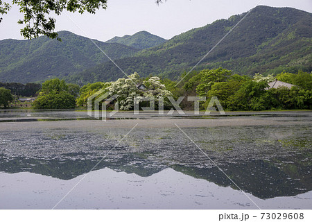 池 春 貯水池 73029608
