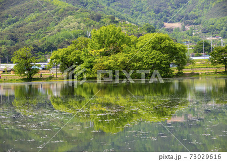 池 春 貯水池 73029616