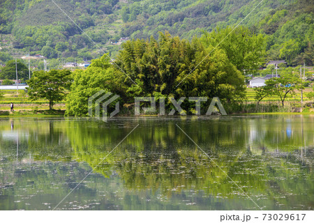 池 春 貯水池 73029617