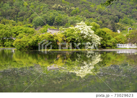 池 春 貯水池 73029623