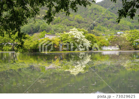 池 春 貯水池 73029625