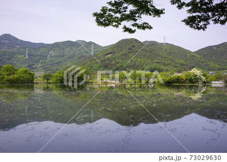 池 春 貯水池 73029630