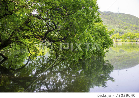 木 池 貯水池 73029640