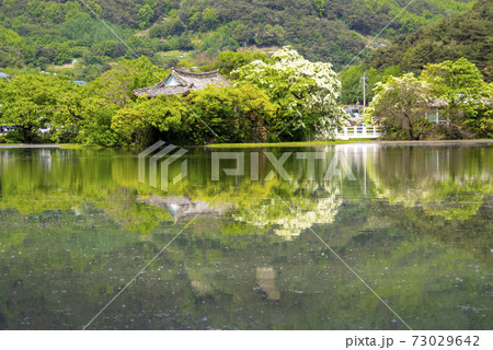 池 春 貯水池 73029642