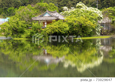 池 春 貯水池 73029647