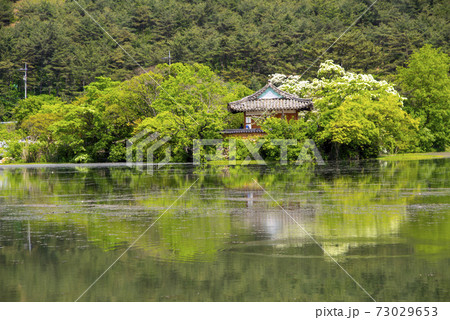 池 春 貯水池 73029653