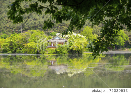 池 春 貯水池 73029658