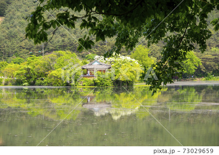 池 春 貯水池 73029659