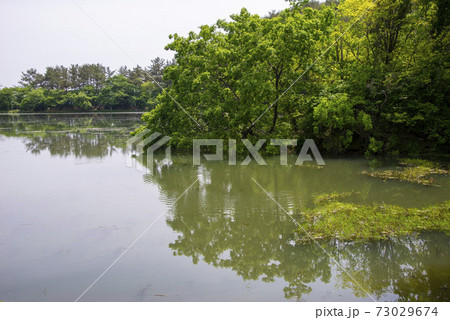 池 春 貯水池 73029674