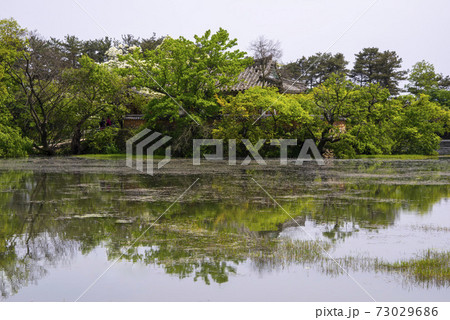 池 春 貯水池 73029686