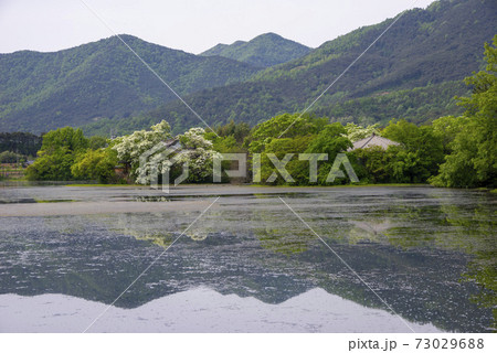 池 春 貯水池 73029688