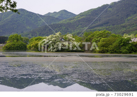 池 春 貯水池 73029691