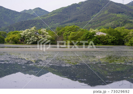 池 春 貯水池 73029692