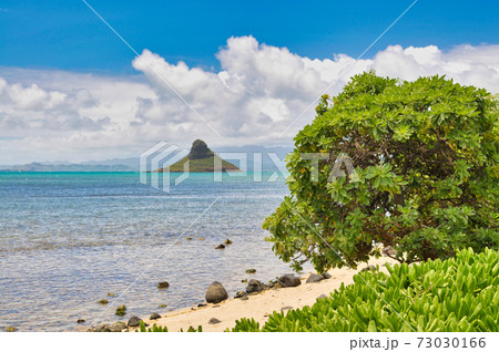 オアフ島のビーチ 73030166