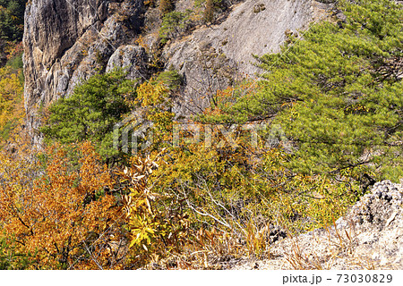 山 秋 紅葉 73030829